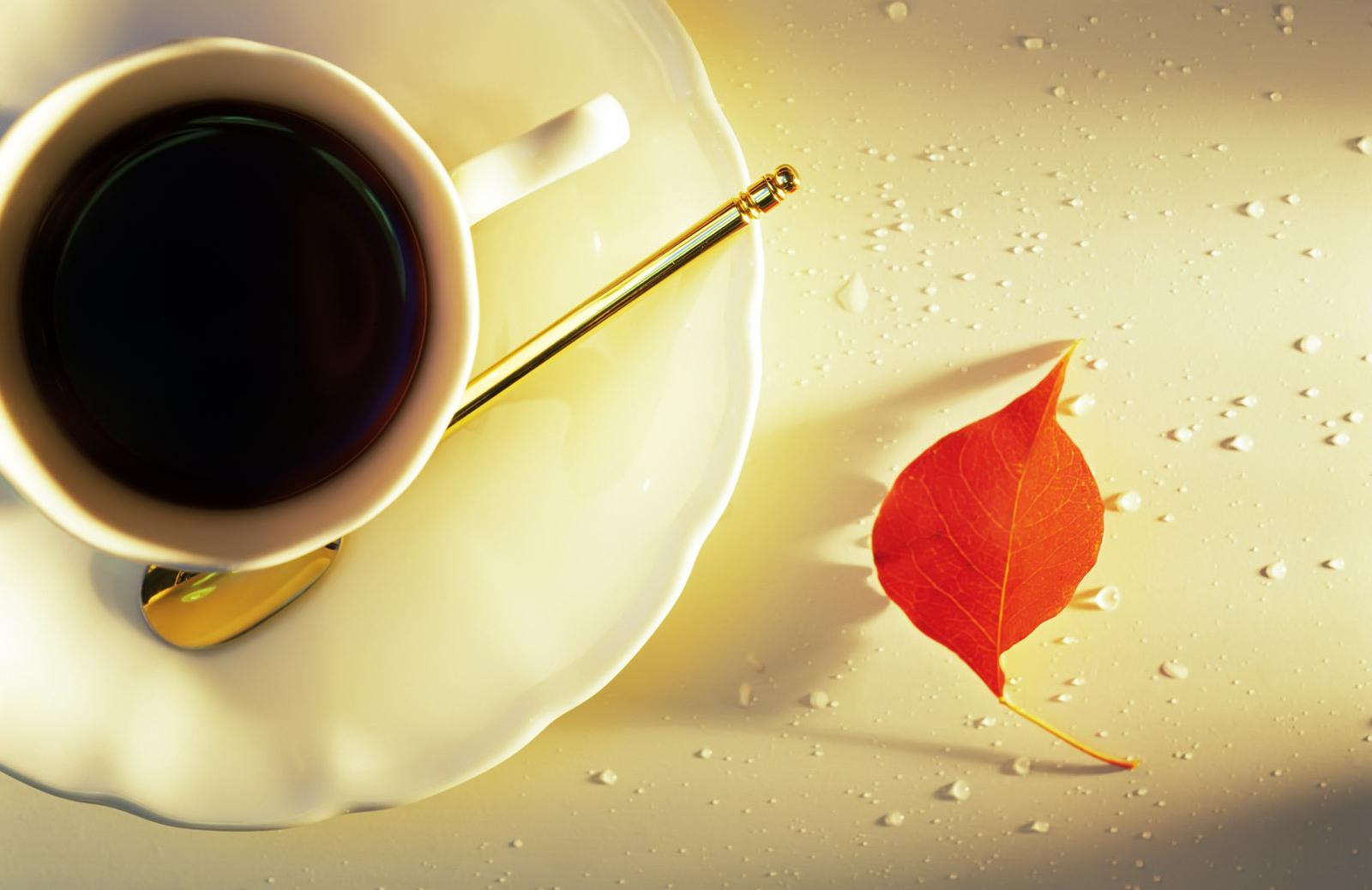 Bọ Cạp buồn tình, Bảo Bình công việc thành công mỹ mãn ngày 12/8/2018-2