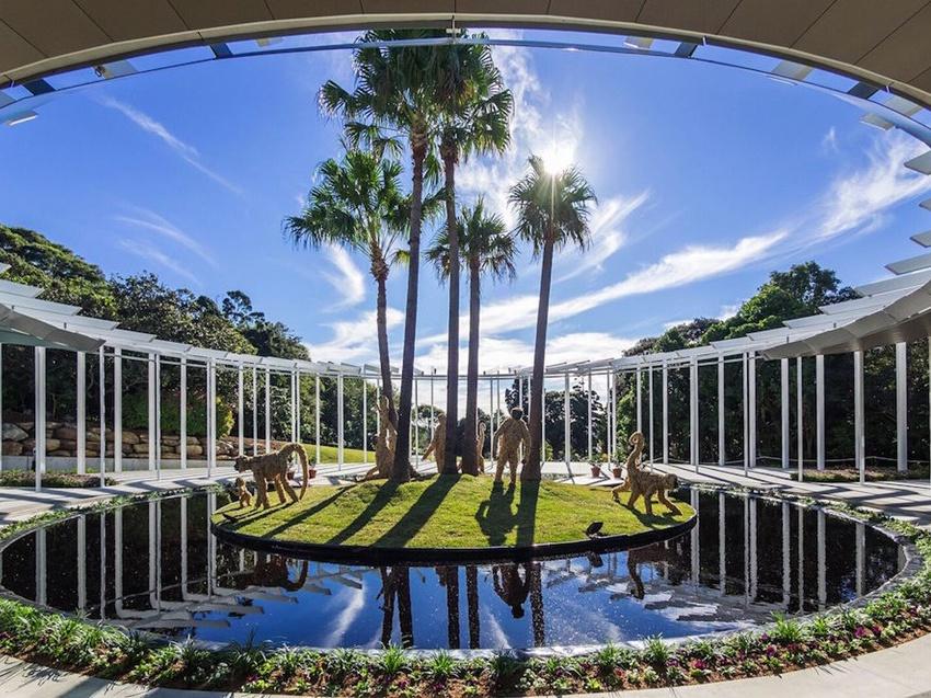 Cận cảnh cây đa khổng lồ nhất thế giới: Tán cây bao phủ hơn 14 nghìn mét vuông-4