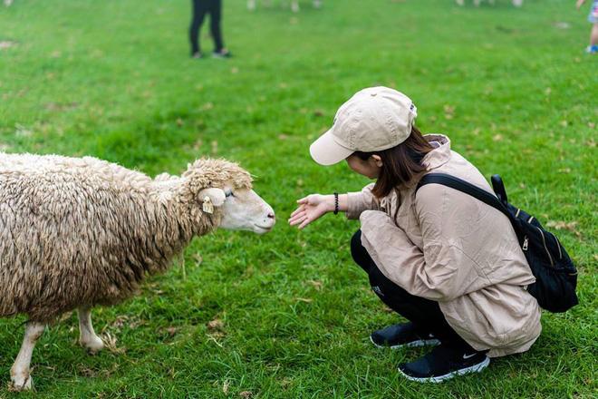 Chàng trai Việt một mình phượt từ Los Angeles đến Đài Loan bằng xe máy gần 40 ngày-6