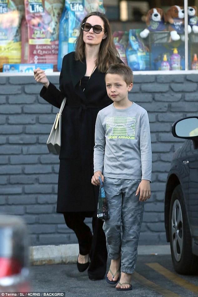 Tiết lộ chi phí tốn kém nuôi 6 con của Brad Pitt và Angelina Jolie-3