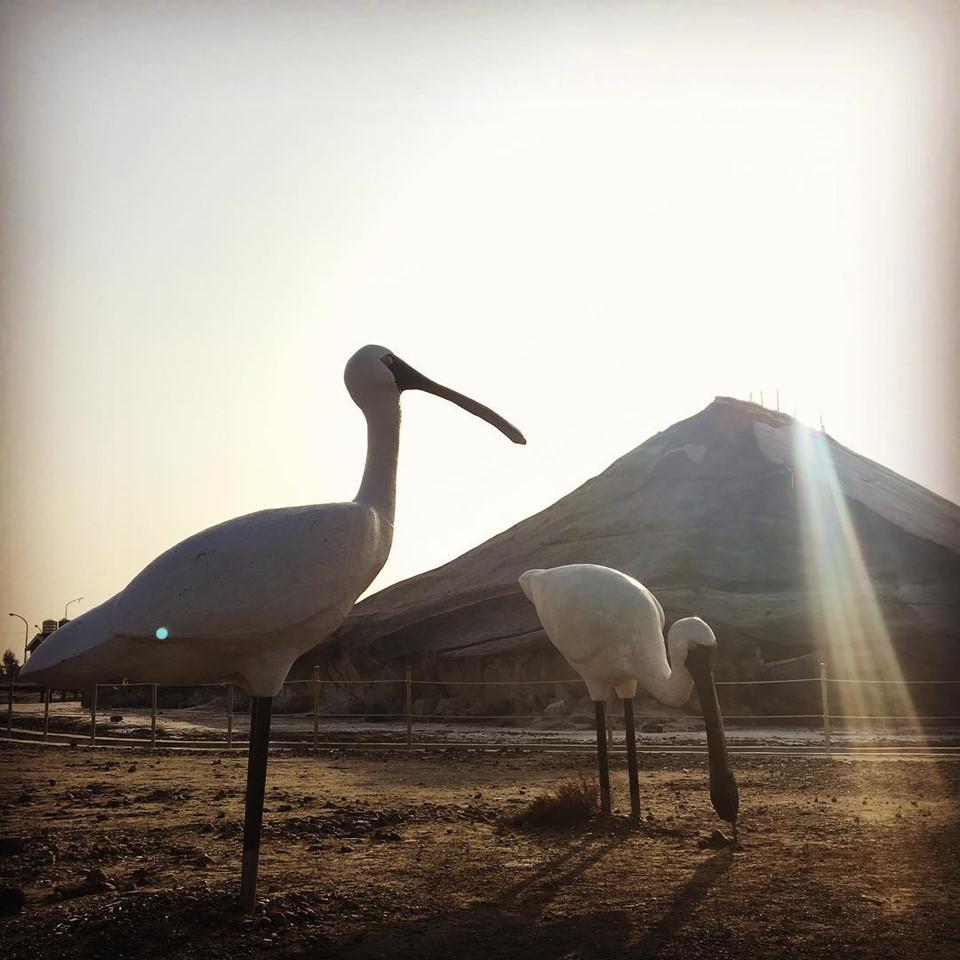 Chinh phục núi muối Thất Cổ trắng như tuyết ở Đài Loan-3