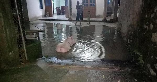 Chạy lũ xuyên đêm, 5 người chết ở Nghệ An-4