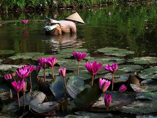 Nghỉ lễ Quốc khánh, về Ninh Bình trải nghiệm cuộc sống mộc mạc