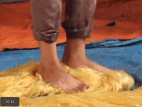 Mua hành tây, cà rốt Trung Quốc được bao giấy tờ chứng minh đồ Đà Lạt-3