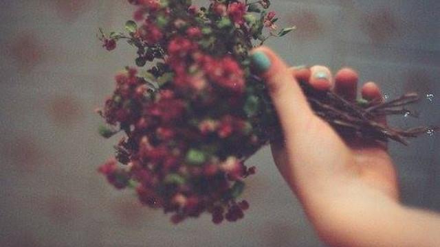 Bảo Bình nhận đủ niềm vui, Kim Ngưu nguy cơ rạn nứt tình cảm trong ngày 21/8/2018-1