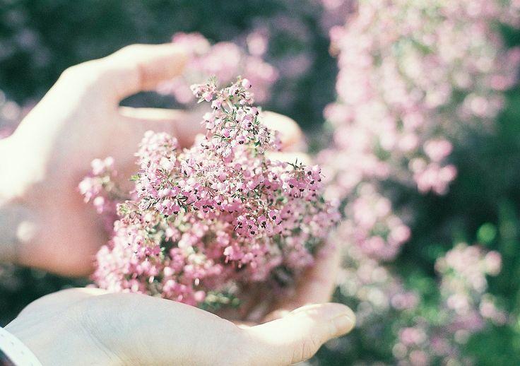 Bảo Bình nhận đủ niềm vui, Kim Ngưu nguy cơ rạn nứt tình cảm trong ngày 21/8/2018-4