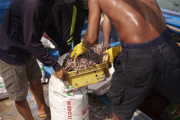 Top chef Võ Hoàng Nhân ra biển tìm cảm hứng món mới-2