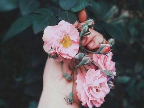 Thiên Bình đón ngày mới yên ả trong khi Song Tử lại hao tiền tốn của ngày 23/8/2018