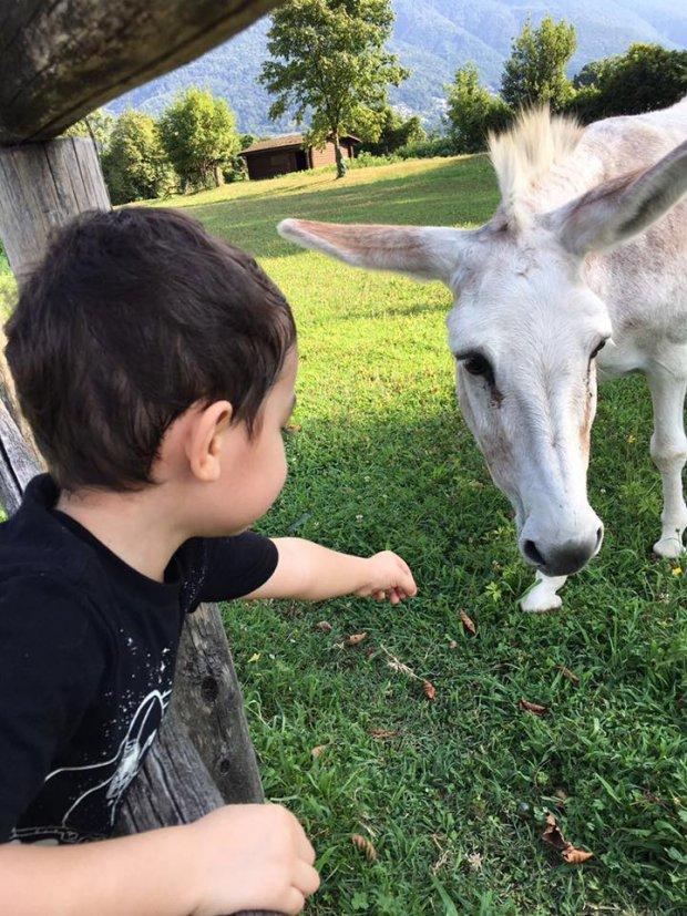 Tận hưởng cuộc sống bà hoàng ở trời tây, Thu Minh kêu trời vì tăng cân mất kiểm soát-12