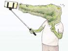 Bộ tranh: Cá sấu sẽ bi hài ra sao nếu sống như loài người?
