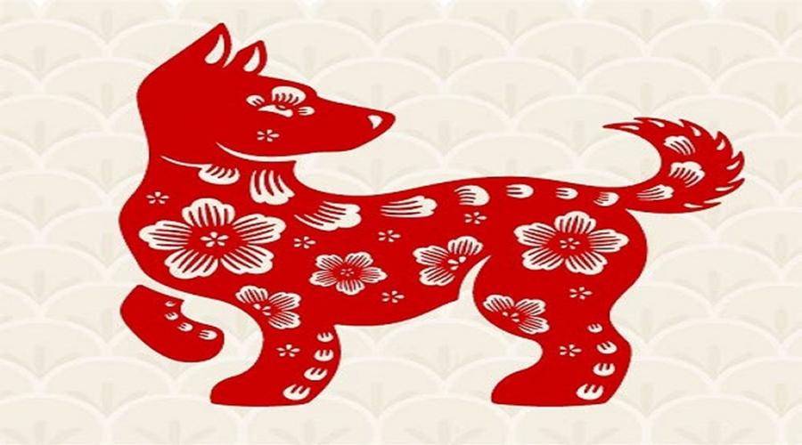 Qua rằm tháng 7, 4 con giáp này chuẩn bị BÃO TIN VUI, tiền tài gõ cửa liên tục-4