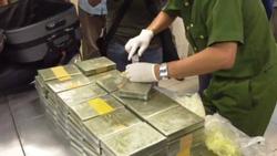 Phá đường dây vận chuyển ma túy từ Mỹ về Việt Nam