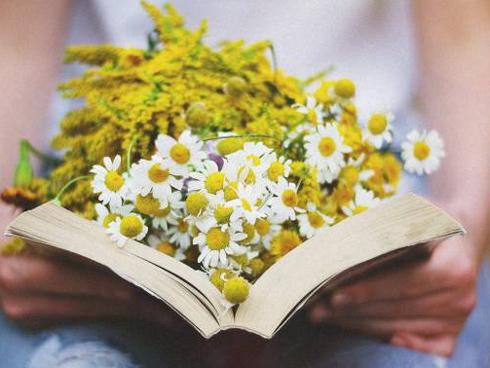 Tuổi Tỵ tình cảm thăng hoa, tuổi Tuất vận đen đeo bám suốt tuần từ 27/8 đến 2/9/2018-1