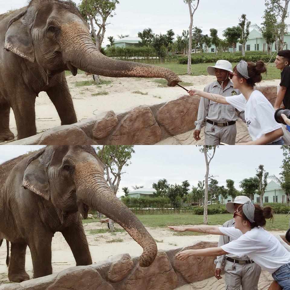 Hot streamer MisThy siêu nhí nhố khi cover ca khúc Học tiếng mèo kêu khiến fans thích thú-6