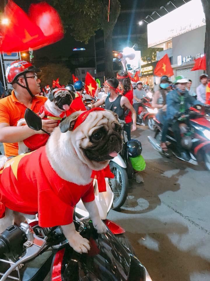 1.001 cách cổ động viên ăn mừng chiến thắng của Olympic Việt Nam-3