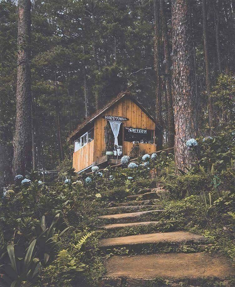 Sống ảo tẹt ga chỉ với 30 nghìn đồng khi bạn đặt chân tới vùng đất thơ mộng Đà Lạt-2