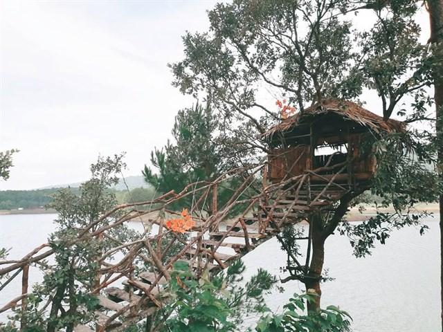 Sống ảo tẹt ga chỉ với 30 nghìn đồng khi bạn đặt chân tới vùng đất thơ mộng Đà Lạt-6