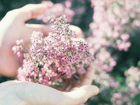 Hờn đỏ mắt với 3 con giáp may mắn ngút trời, tiền chất như núi trong 20 ngày tới-2