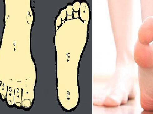 Phòng khách để các món đồ cấm kị này, gia chủ không khéo chỉ thấy số nghèo-10