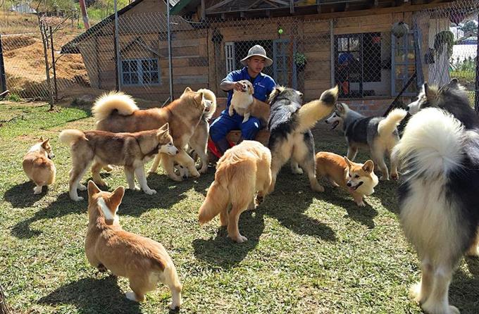 Những điểm vui chơi chất phát ngất liên tục ra lò ở Đà Lạt-1