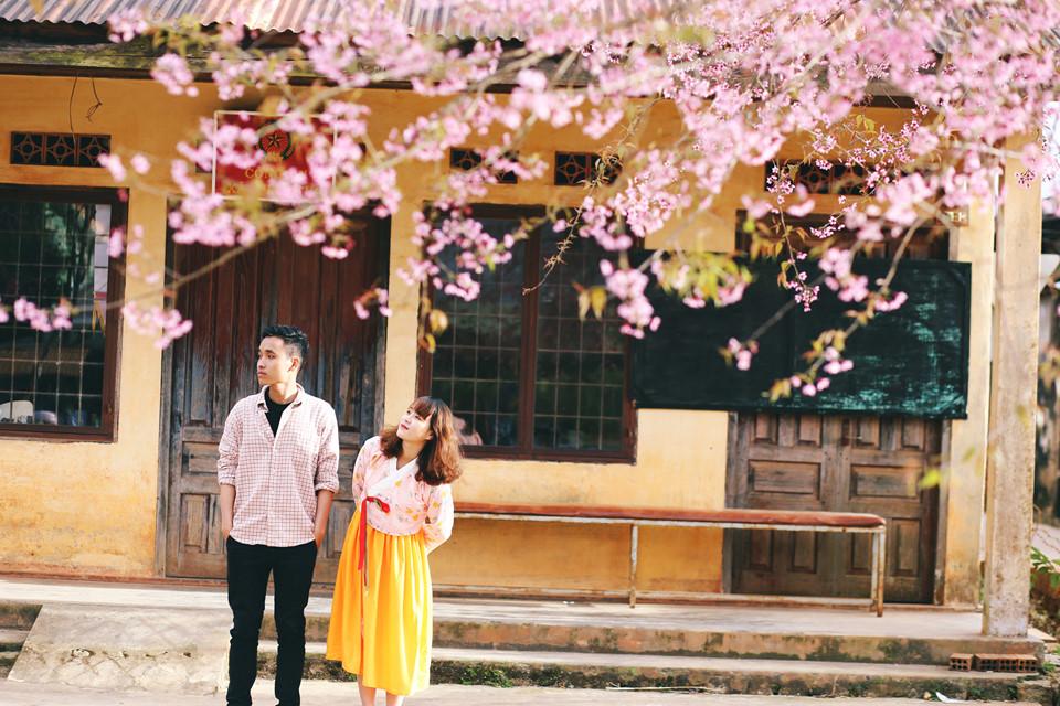 Đi khắp hang cùng ngõ hẻm Đà Lạt ngắm mai anh đào-5