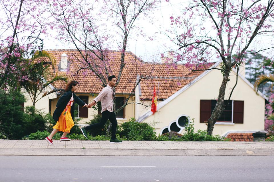 Đi khắp hang cùng ngõ hẻm Đà Lạt ngắm mai anh đào-6