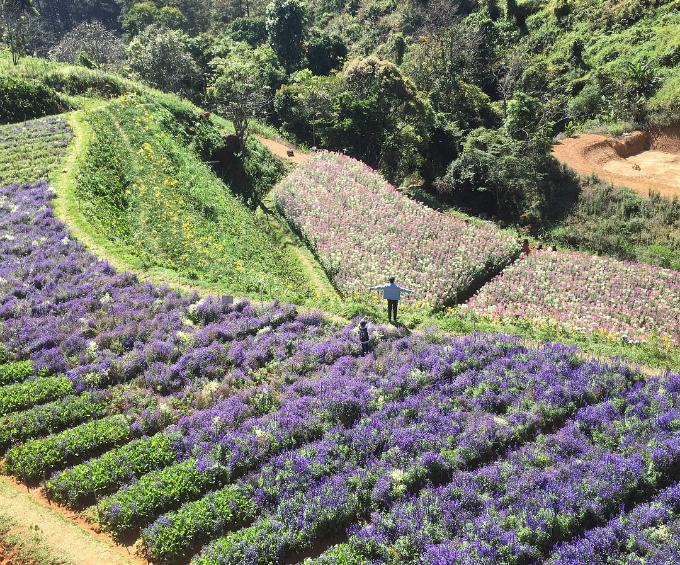 Những điểm vui chơi chất phát ngất liên tục ra lò ở Đà Lạt-6