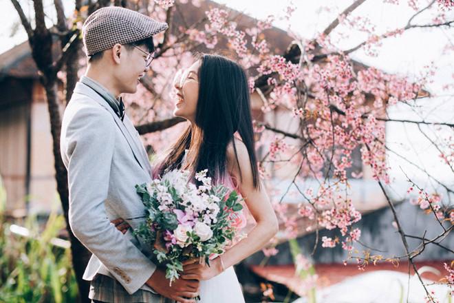 Lên Đà Lạt ngay bây giờ để không bỏ lỡ mùa hoa mai anh đào nở rộ-2