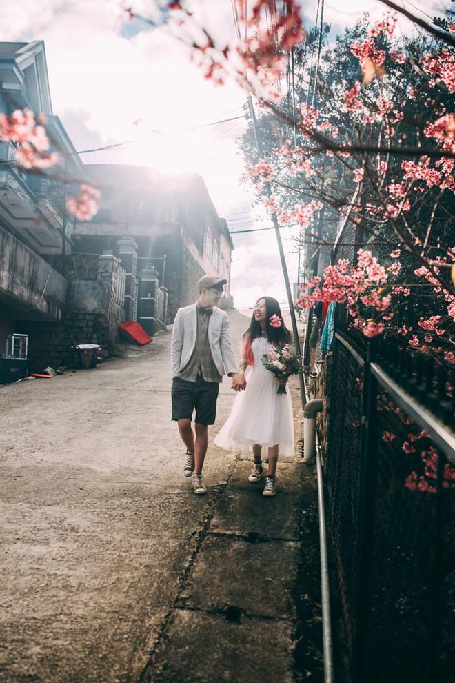 Lên Đà Lạt ngay bây giờ để không bỏ lỡ mùa hoa mai anh đào nở rộ-3