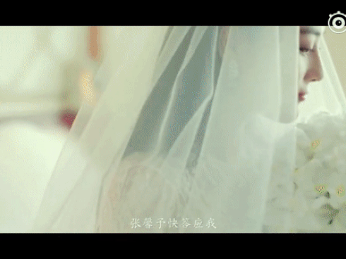 Lý Mạc Sầu Trương Hinh Dư giản dị nắm tay chồng, ăn quán ven đường hưởng tuần trăng mật-8