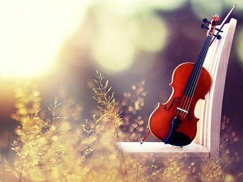 Tuổi Tý đề phòng tiểu nhân hãm hại, tuổi Mão vận may ngút trời ngày 31/8/2018