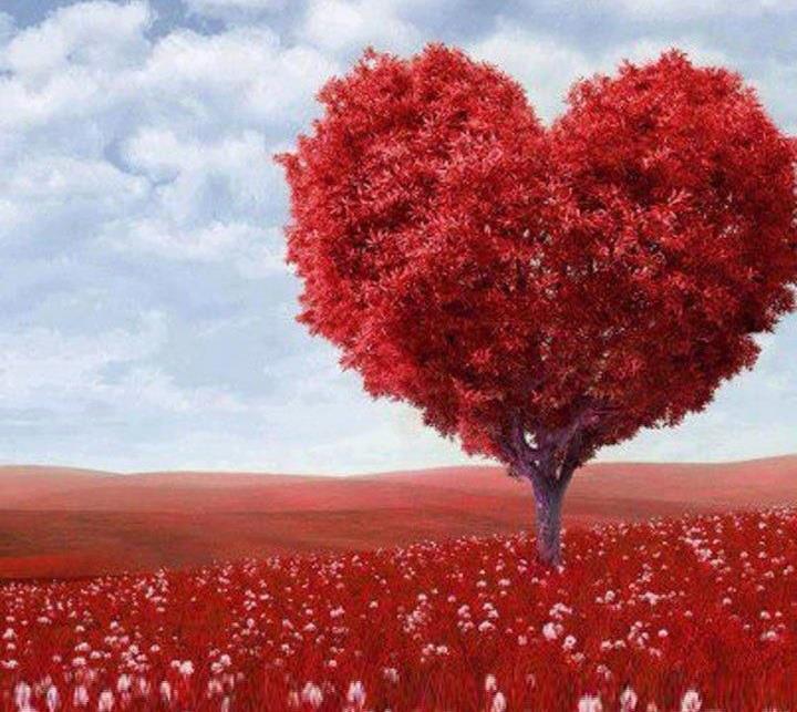 Tử vi tháng 9 đầy biến động của 12 cung hoàng đạo: Thiên Bình công việc thuận lợi, Xử Nữ chịu nhiều thị phi-5