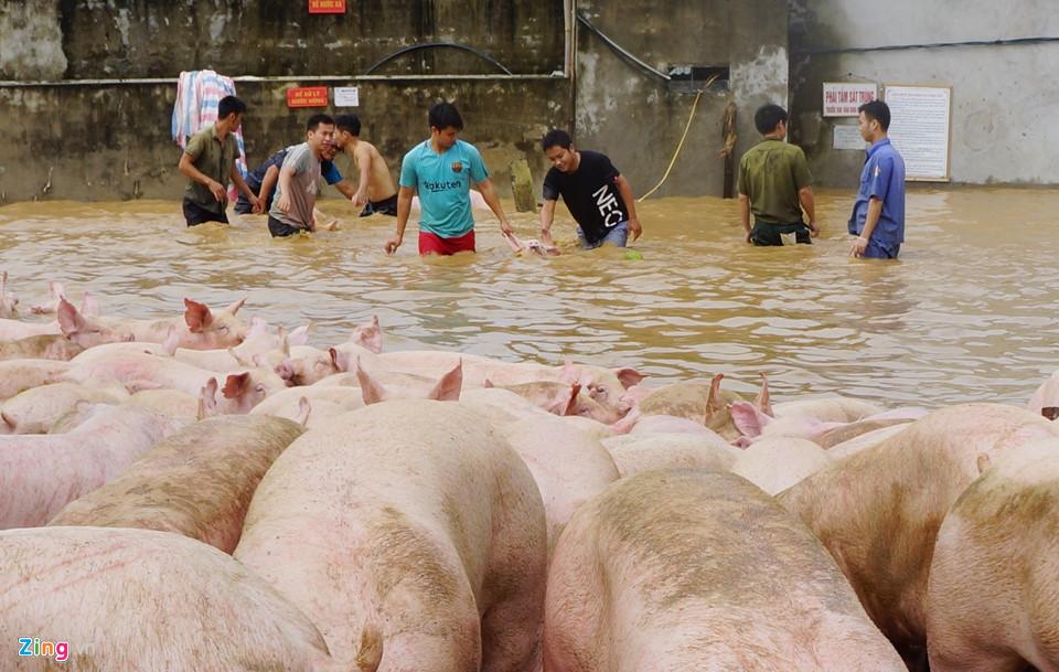 Hàng trăm nhà ven sông Mã bị nhấn chìm-4