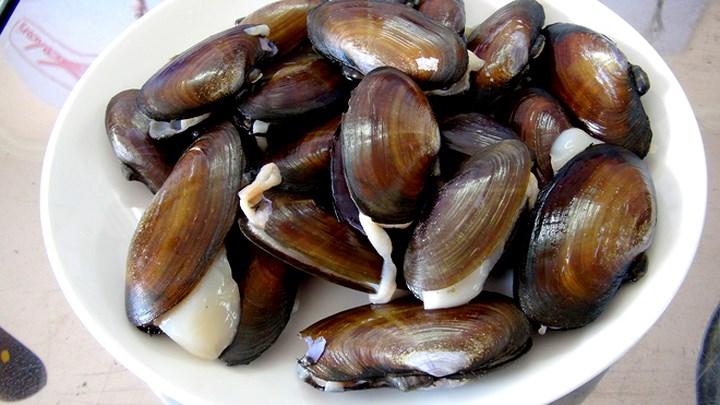 Thích mắt đặc sản tiến Vua phi cầu trắng nõn nà, tua dài xứ Thanh-2