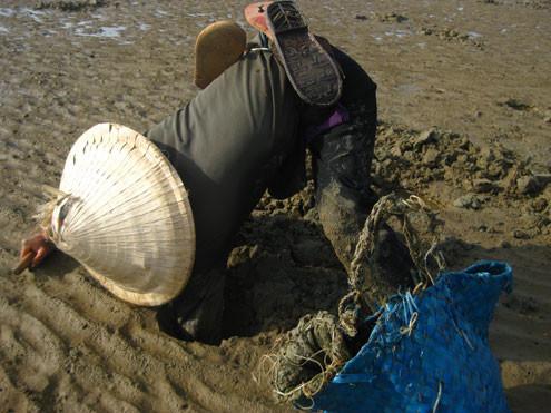 Thích mắt đặc sản tiến Vua phi cầu trắng nõn nà, tua dài xứ Thanh-4