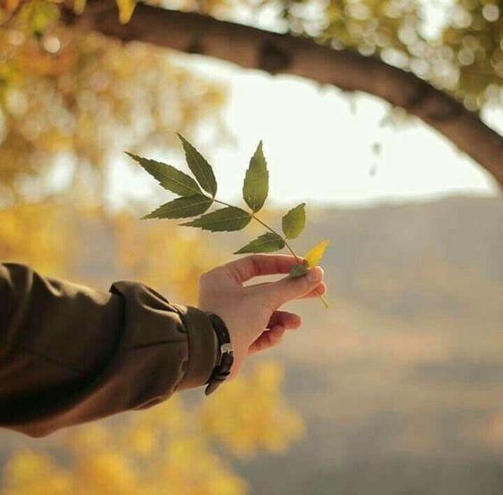 Tình yêu gượng ép nhất định sẽ không hạnh phúc-1