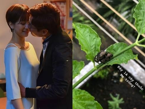 Kiều Minh Tuấn và An Nguy tung ảnh ngầm khẳng định đang ở chung nhà chứ không vô tình gặp nhau như thiên hạ đồn đoán