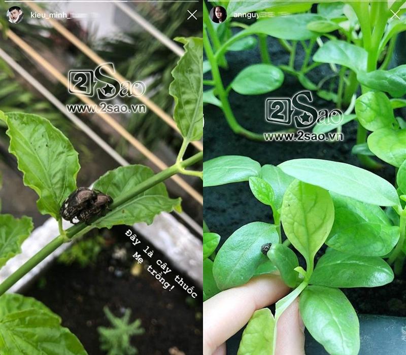 Nghệ sĩ làng hài Việt: Mang tiếng cười lấp nỗi buồn khán giả nhưng chính đời mình lại chỉ toàn nước mắt-8