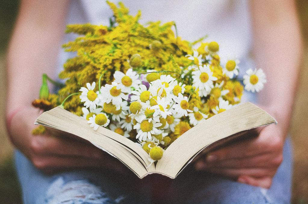 Tử vi ngày 5/9/2018 của 12 con giáp: Tuổi Dần tình cảm khả quan, tuổi Mão thành công-1