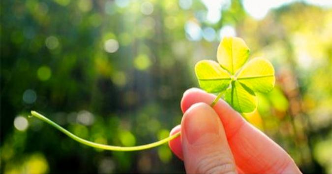 Xử Nữ có một ngày thứ Năm, 6/9/2018, đen đủi đủ đường, Song Tử lại khởi sắc hơn nhiều-4