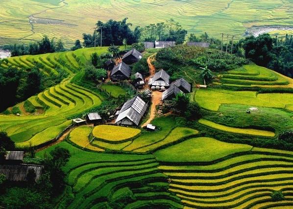 Top 14 địa điểm du lịch đẹp và hấp dẫn nhất Việt Nam bạn nên check-in 1 lần trong đời-13