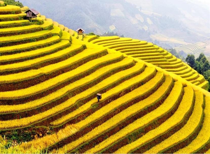 Top 14 địa điểm du lịch đẹp và hấp dẫn nhất Việt Nam bạn nên check-in 1 lần trong đời-14