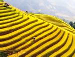 Sông Mê Kông lọt top những dòng sông đẹp nhất thế giới-11