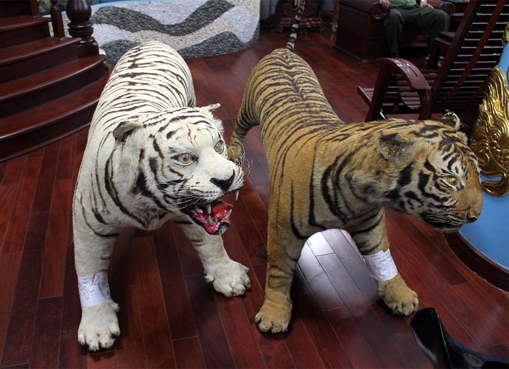 Lật tẩy thần y miền Tây nổi tiếng chữa bệnh bằng cách nói chuyện-2