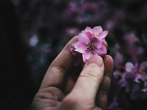 Tuổi Mùi bị họa thị phi đe dọa, Tuổi Tuất mọi sự hanh thông ngày 7/9/2018