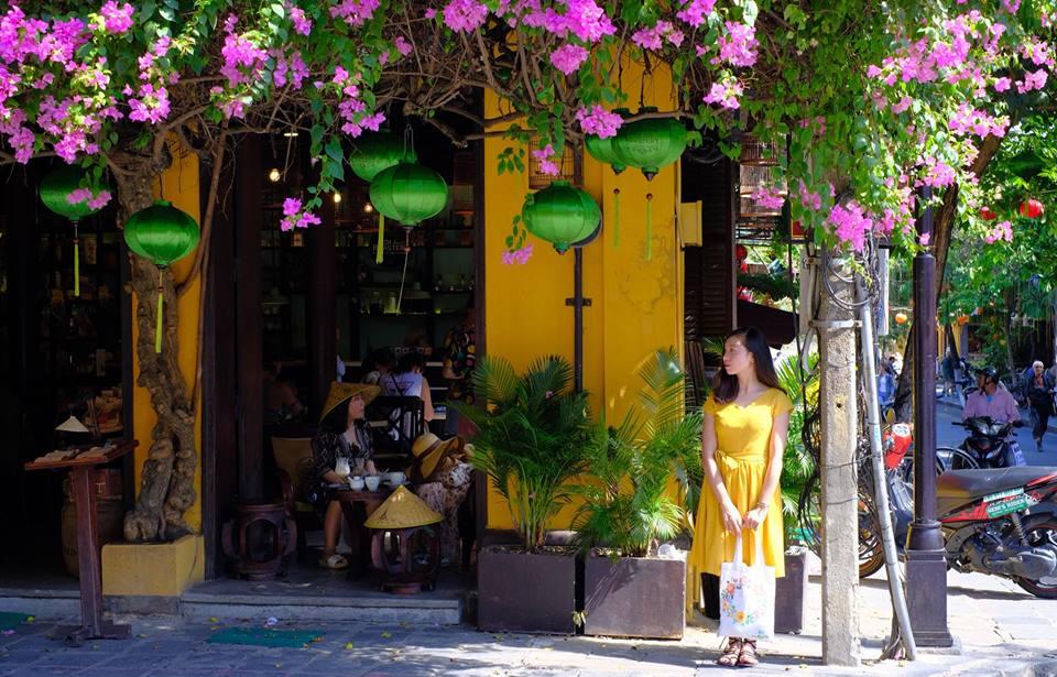 Du khách rộn ràng check-in với giàn hoa giấy đẹp lịm tim ở Hội An-7