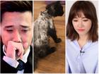 Trấn Thành đòi 'giết' Hari Won vì tự ý mua mèo cưng 3000 USD rồi vô tư cạo sạch lông nhìn phát hãi