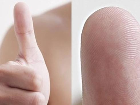 Sư Tử khởi sắc trong khi Thiên Bình gặp họa thị phi ngày 8/9/2018-5