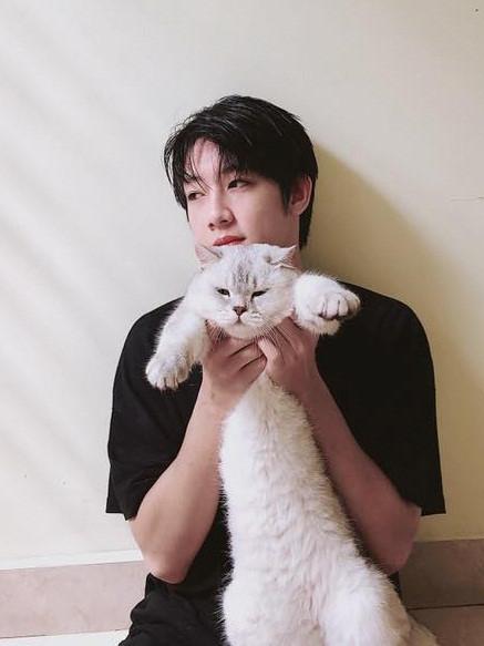 Khoe ảnh chụp với mèo, 9X Hải Phòng được khen đáng yêu hơn boss-5