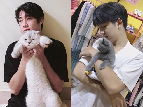 Khoe ảnh chụp với mèo, 9X Hải Phòng được khen đáng yêu hơn 'boss'